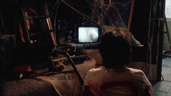 #8 Doom Asylum