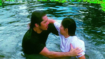 Katawan media image