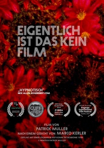 Actually, This Is Not a Film