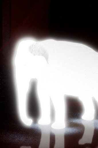 King of Cyborg Elephant (2025)