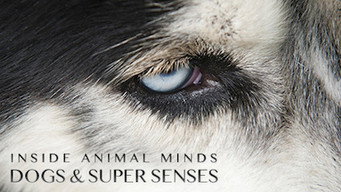 Inside Animal Minds: Dogs & Super Senses