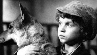 Freckled Max and the Spooks (1987)