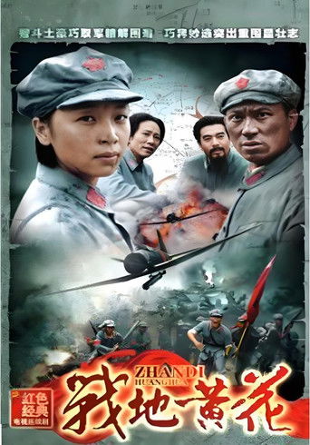 战地黄花 poster