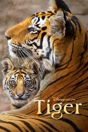 Movie poster: Tiger (2024)
