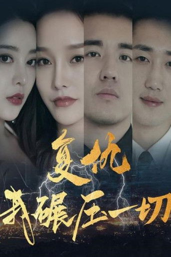 复仇我碾压一切 poster