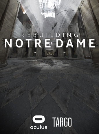 Rebuilding Notre Dame (2020)