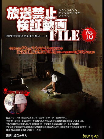 Banned Video File Vol. 10 poster