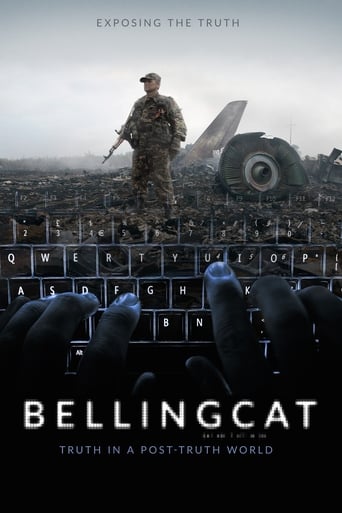 Bellingcat: Truth in a Post-Truth World (2018)