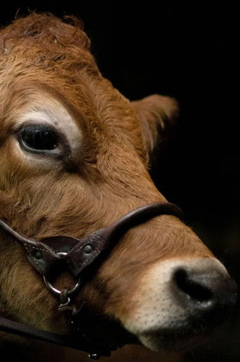 A Feeling of Home: The Making of First Cow (2020)