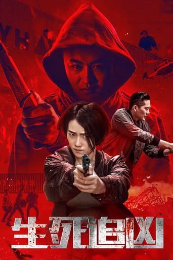 Poster of 生死追凶