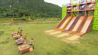 Survivor S26E14 poster