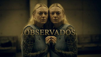 Galeria 3 - Los vigilantes