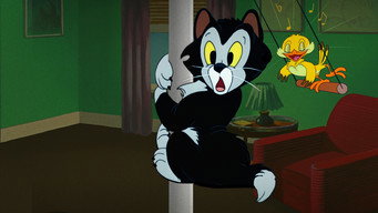 #8 Figaro and Frankie