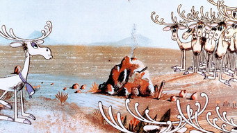 #13 Animals United