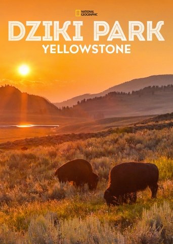 Dziki park Yellowstone