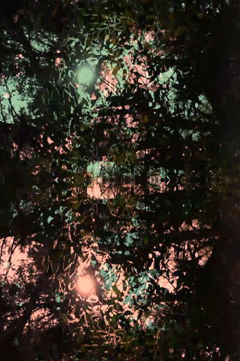 Imitation of light poster