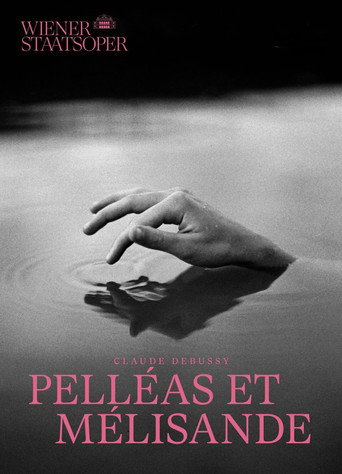 Pelléas et Mélisande - Wiener Staatsoper poster
