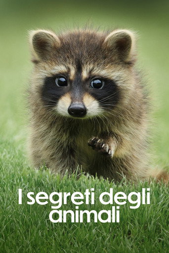 A Vida Secreta dos Animais — Pôsteres 23