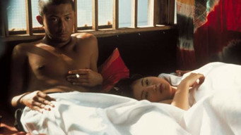Блюзова гармошка (1998)