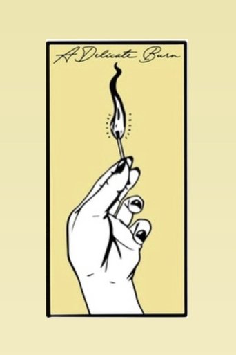 A Delicate Burn poster