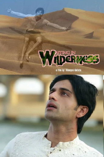 Waiting in Wilderness poster