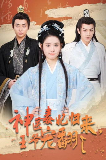 神医毒妃归来，王爷宠翻了 (2024)