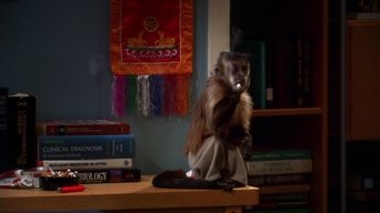 La teoría del Big Bang