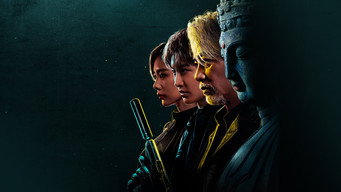 Ніколи не злодій (2025)