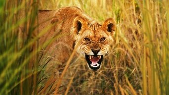 Secret Life of Predators - S1E01