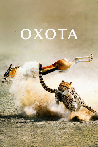 Постер «The Hunt»