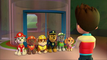 Assistir Patrulha Canina Online