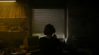 inert media image