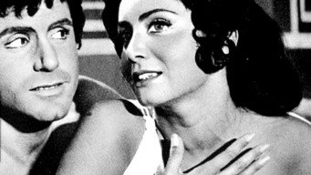 Love Factory (1964)