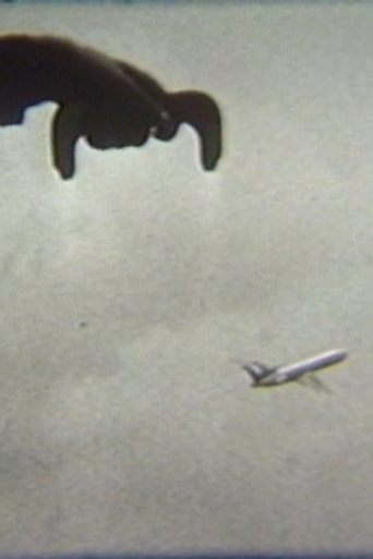 Flying