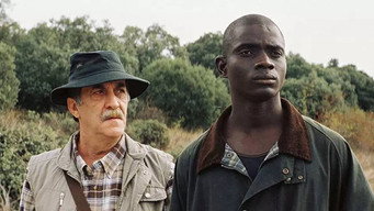 Naufragio (2010)