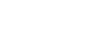 Lion Kingdom logo