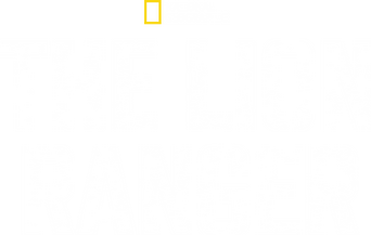 The Lion Ranger logo