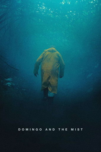 Domingo and the Mist