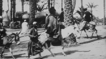 Bourricots sous les palmiers (1897)