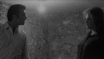 #10 The Honeymoon Killers