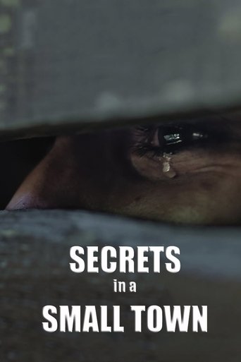 Secrets in a Small Town poster