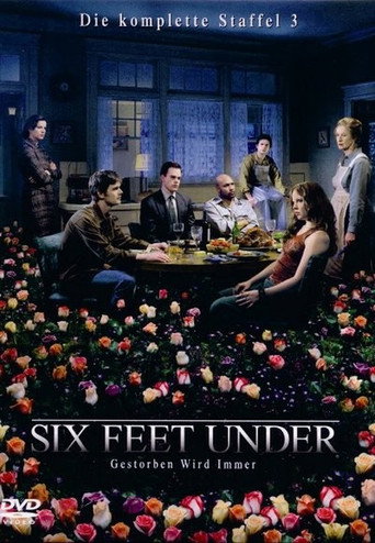 Staffel 3