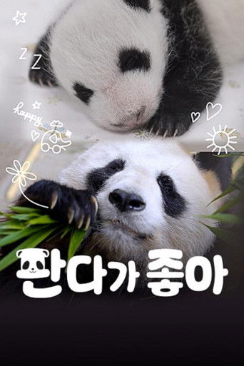 판다가 좋아 poster