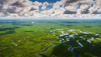 The Secret Islands of the Everglades