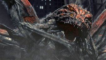 Spiders media image