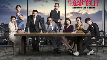A Splendid Life in Beijing (2017-2018)