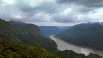#10 Destination Wild: India