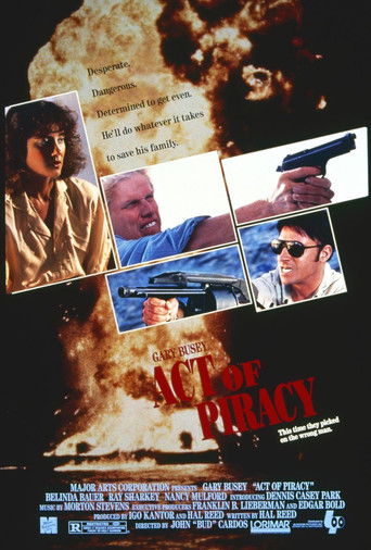 Act of Piracy poster 2