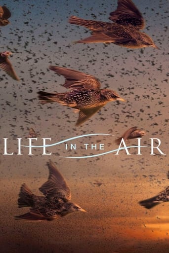 Life in the Air 2016