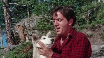 Nikki, Wild Dog of the North (1961)